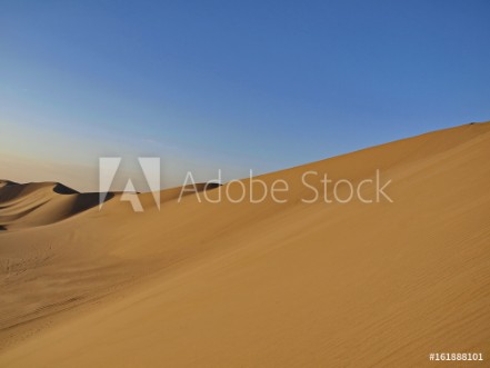 Picture of Huacachina desert peru